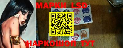 спиды Краснознаменск